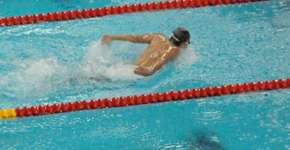 Foto: (Imagem sem texto alternativo disponivel ID [409146])