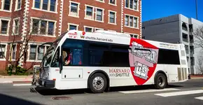 Foto: (Crédito:APCortizasJr/iStock)