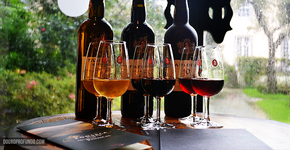 Como beber vinho de graça em Portugal