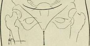 Foto: (Imagem sem texto alternativo disponivel ID [1143576])