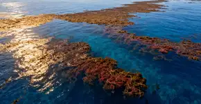 A Terra tem um mar que não toca em nenhuma terra, porque não tem costa