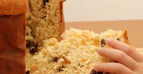 Foto: (Divulgação)