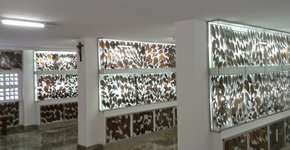 Foto: (Imagem sem texto alternativo disponivel ID [818481])