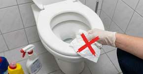 Grande parte das pessoas não compreende a razão pela qual não é recomendável higienizar o assento da privada utilizando papel higiênico