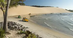 Gol faz promoção relâmpago de passagens a partir de R$ 115