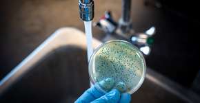 Foto: (Manjurul/istock)