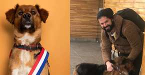 Sucesso nas redes sociais, conheça Brownie: o cachorro do presidente do Chile