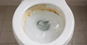 Foto: (Imagem sem texto alternativo disponivel ID [2711816])