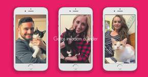 Gatos órfãos buscam novos lares via Tinder