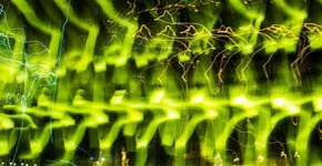 Foto: (Imagem sem texto alternativo disponivel ID [1868775])