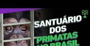 A primeira chimpanzé que recebeu habeas corpus no mundo #CatracaLivreCidadania
