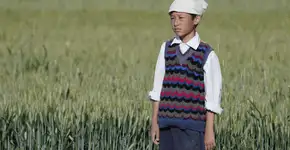 Foto: (Imagem sem texto alternativo disponivel ID [2723835])