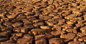 Desmatamento de mananciais também é causa de seca histórica de SP