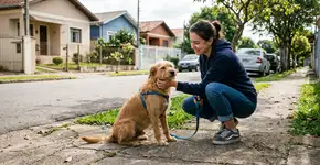 O que a psicologia diz sobre pessoas que sempre fazem carinho com cachorro na rua