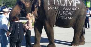 Foto: (Imagem sem texto alternativo disponivel ID [1006684])