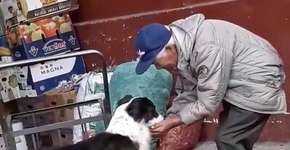 ‘Isso é amor’, diz mulher sobre idoso visto dando água para cão