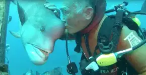 Foto: (Imagem sem texto alternativo disponivel ID [1838149])