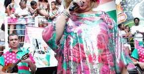 Carnaval no Terreirão do Samba: Alcione, Leci Brandão e muito mais!