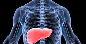 Foto: (Benito Vega/istock)