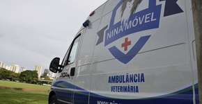 Foto: (Imagem sem texto alternativo disponivel ID [961092])