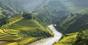 Foto: (Getty Images/iStockphoto)