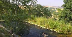 Foto: (Imagem sem texto alternativo disponivel ID [1895980])