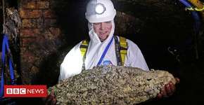 Foto: (Imagem sem texto alternativo disponivel ID [1894675])