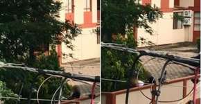 Policial faz sexo em delegacia e é flagrado por câmeras