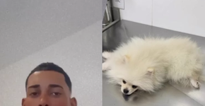 Polícia investiga Poze do Rodo por maus-tratos após cachorro comer maconha