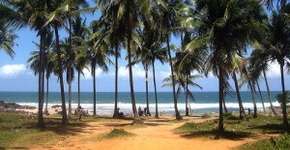 Foto: (Imagem sem texto alternativo disponivel ID [1861202])