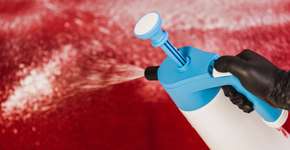 Foto: (Ekaterina Shcherbakova/istock)