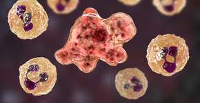 Foto: (Dr_Microbe/istock)