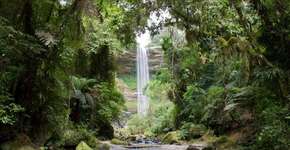 3 destinos incríveis para caminhadas na Mata Atlântica