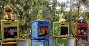 Foto: (Imagem sem texto alternativo disponivel ID [407823])