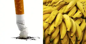 Foto: (Imagem sem texto alternativo disponivel ID [852254])