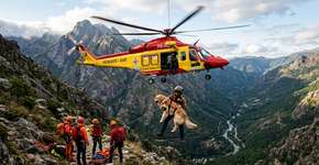 A cadela Molly foi resgatada por voluntários uma semana após cair de uma cachoeira