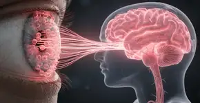 Foto: (Imagem sem texto alternativo disponivel ID [2715715])