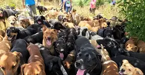 Foto: (Imagem sem texto alternativo disponivel ID [1060702])