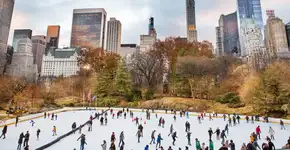 Foto: (Molly Flores/Divulgação)