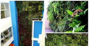 Kit permite a instalação de jardim vertical em casa