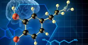 Foto: (iStock/Andreus)