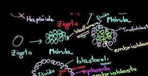 Foto: (Imagem sem texto alternativo disponivel ID [1845039])