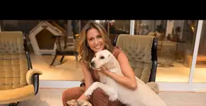 Estudante se diz maltratada durante feira de adoção de Luisa Mell