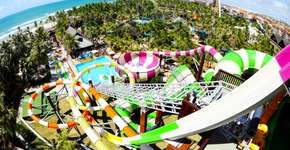 Foto: (Imagem sem texto alternativo disponivel ID [1458986])