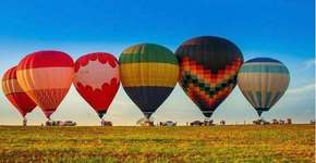 Foto: (Divulgação)