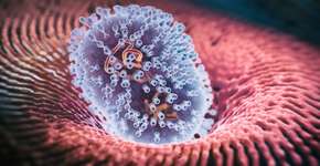 Foto: (koto_feja/istock)