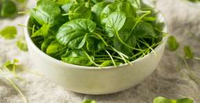 O alimento que tem o perfil nutricional mais completo entre os vegetais