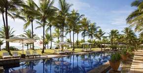 Foto: (Divulgação)