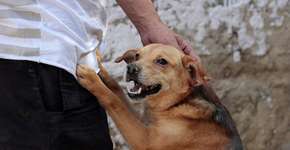 Foto: (Silvia Melo/Catraca Livre)