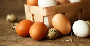 Foto: (Getty Images/iStockphoto)